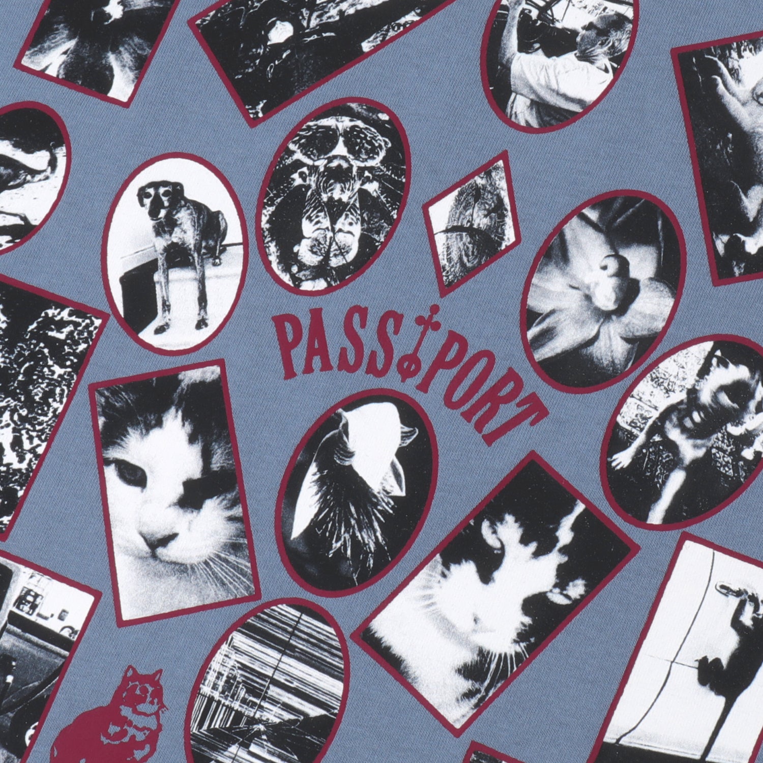 Pass~Port 'Sophomore' T-Shirt (Washed Out Blue)