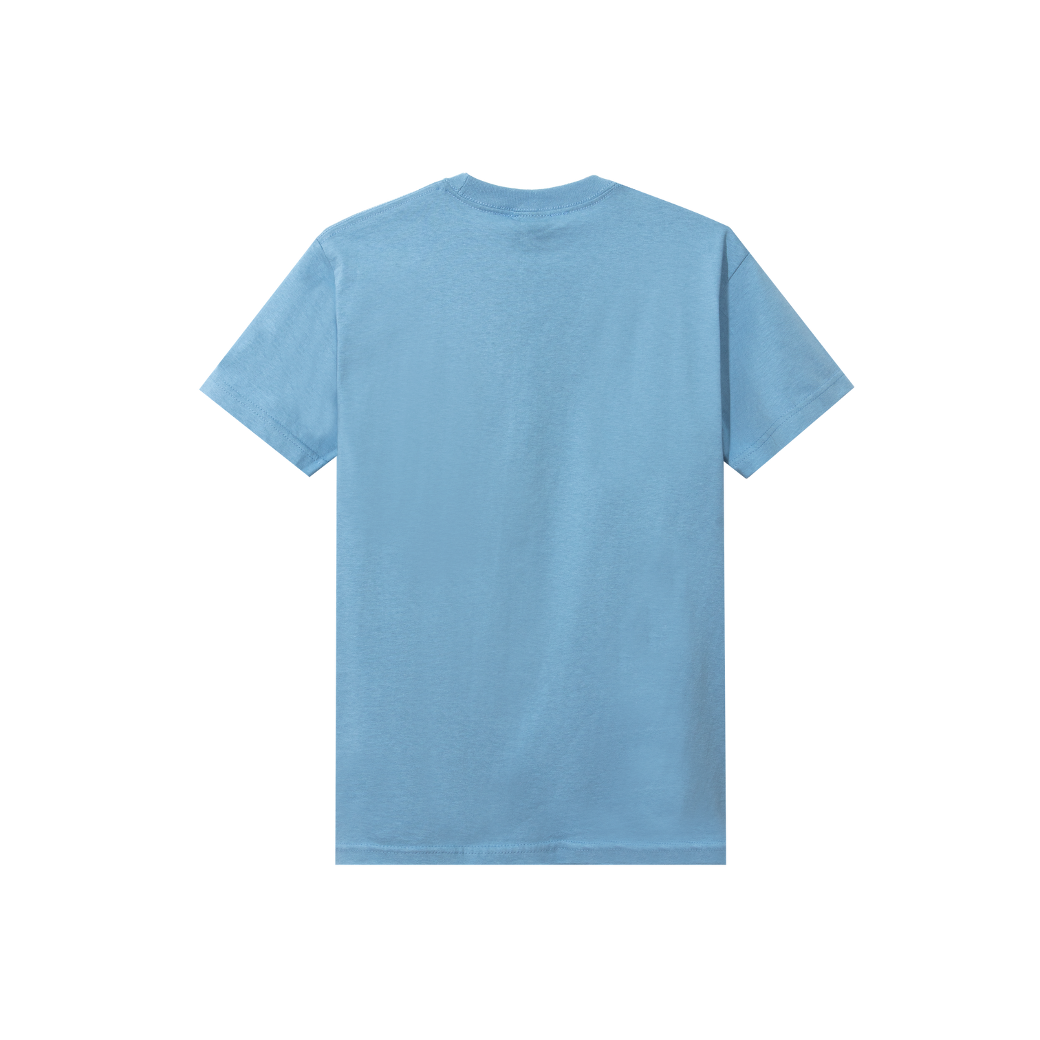 Tired Skateboards 'Bird' T-Shirt (Light Blue)