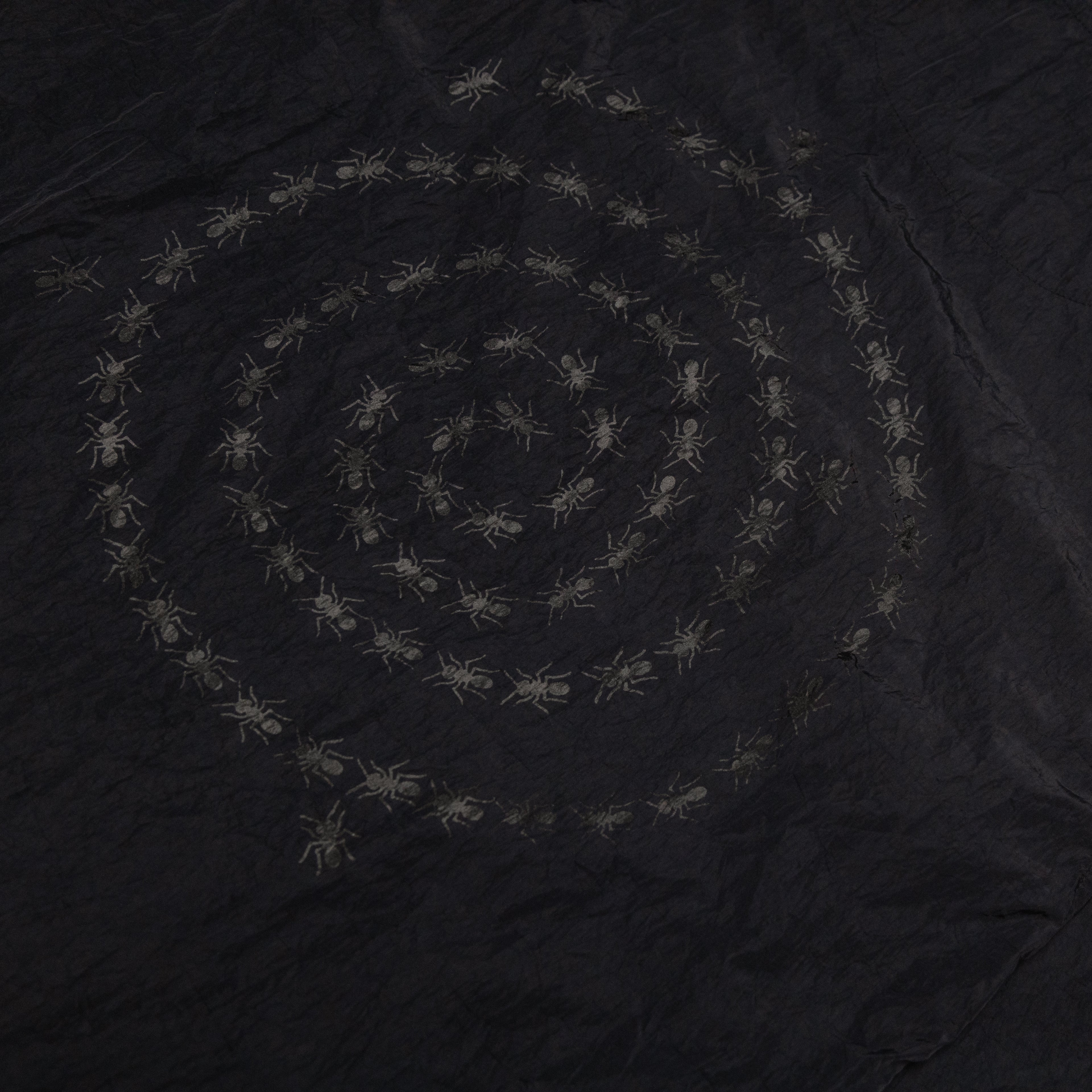 Holiday Route 'Spiral' Windbreaker (Black)