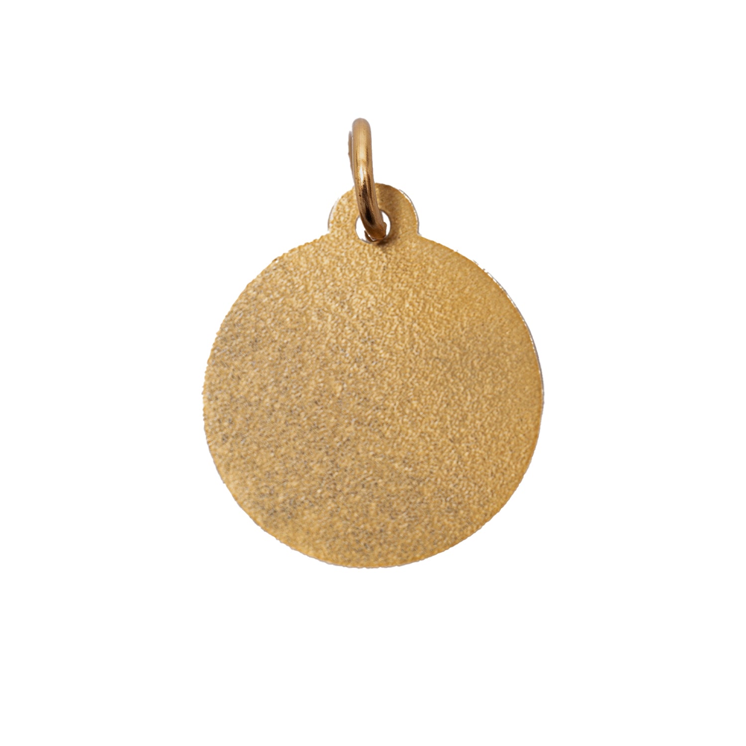 Pass~Port Hybrid Vigour Pet Tag