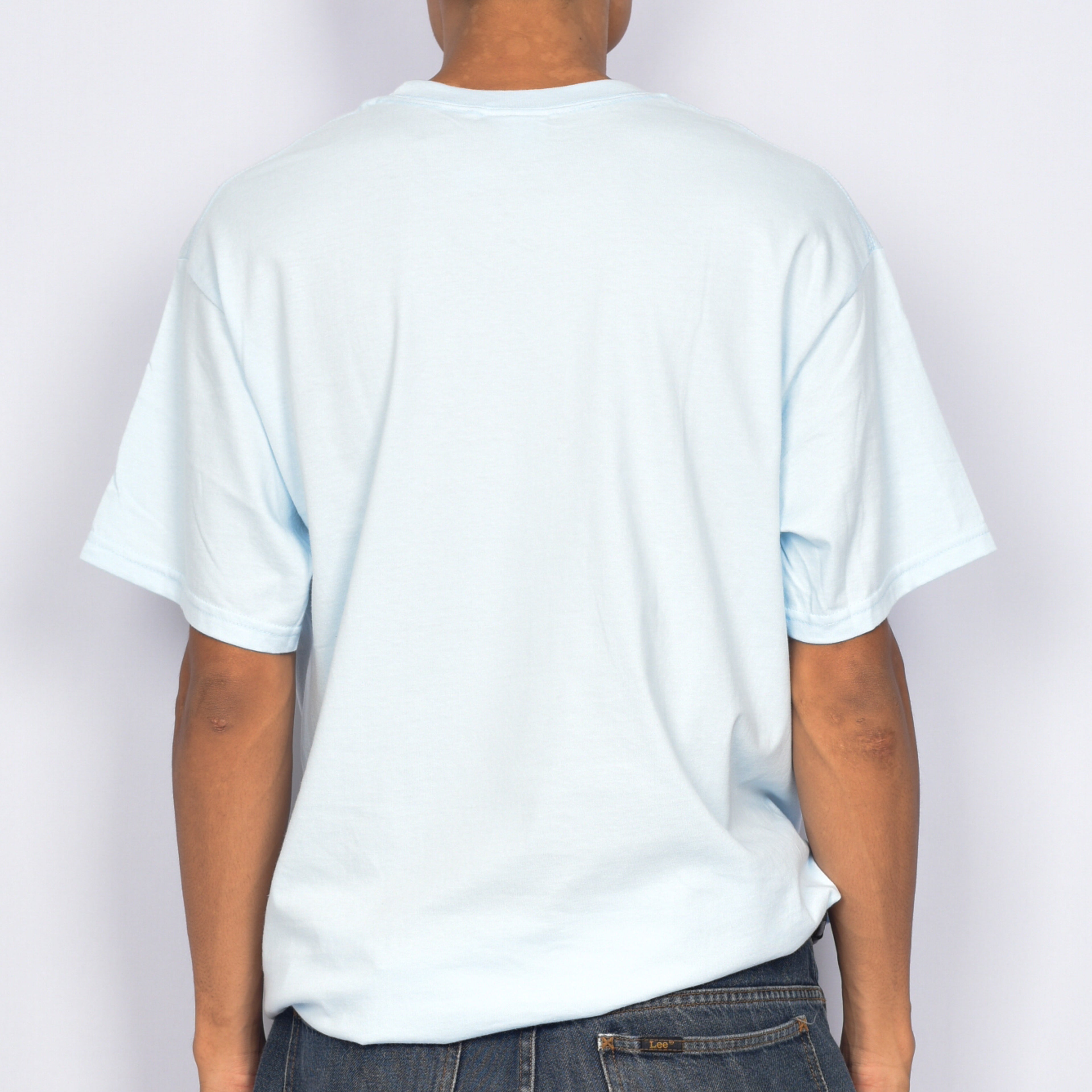 Sci-Fi Fantasy 'Dino' T-Shirt (Chambray)