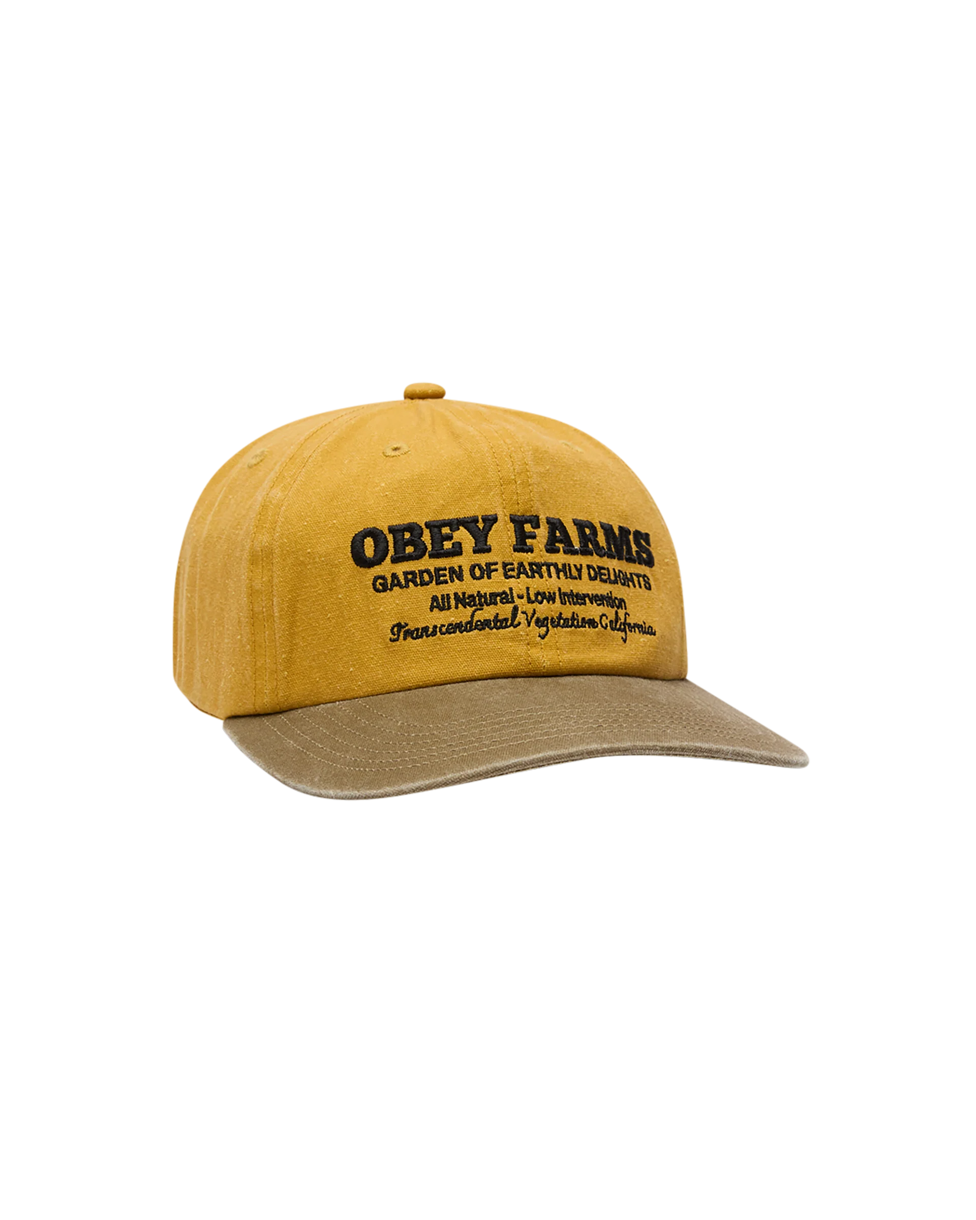 OBEY 'Farms Pigment Strapback' Hat (Pigment Mustard Multi)