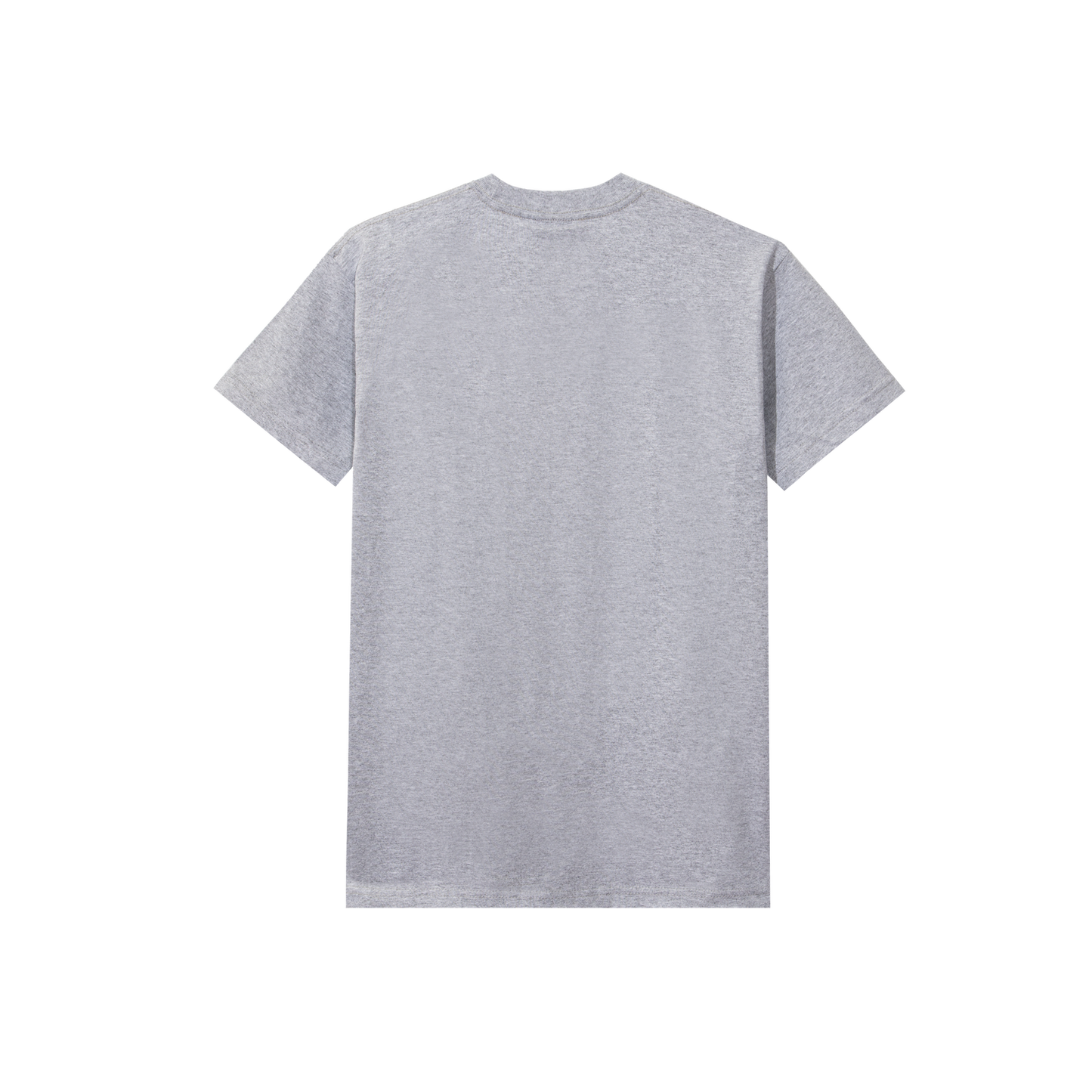 Tired Skateboards "Bird" T-Shirt (Grey)