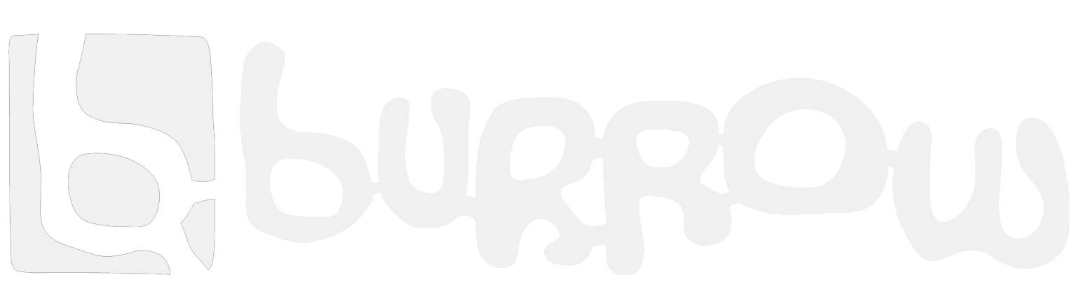 Burrow Skateshop