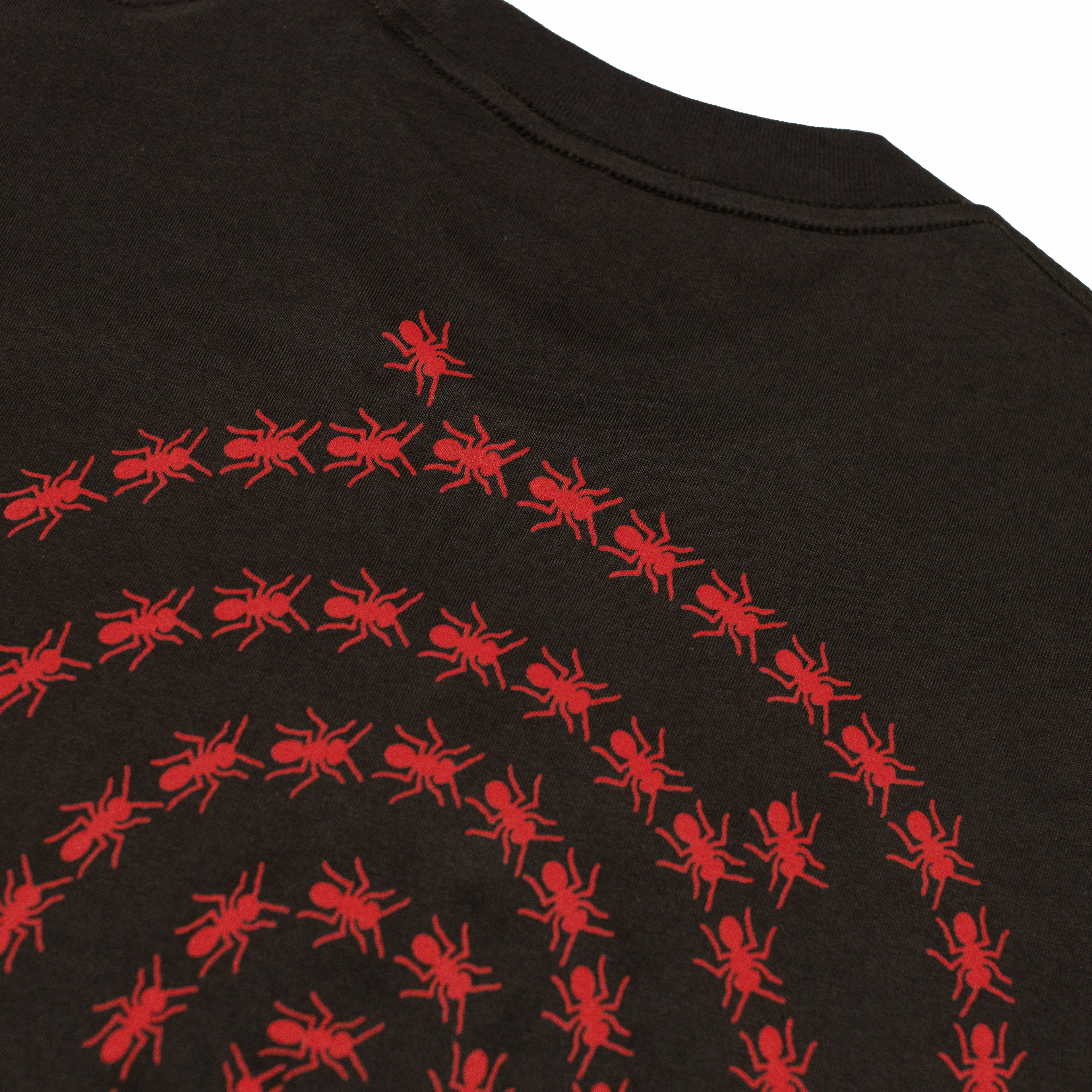 Holiday Route 'Spriral Of Unknown' T-Shirt (Chocolate)