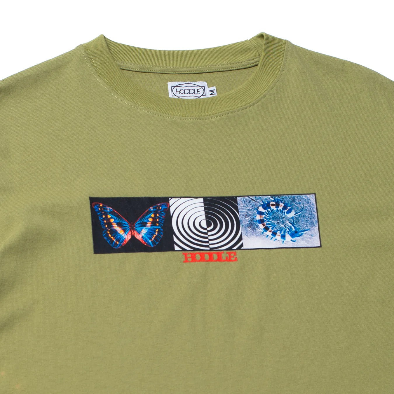 Hoddle Skateboards 'Specimen' T-Shirt (Pistachio)