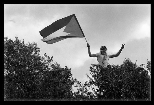 Photograph by Owen Godbert (7)