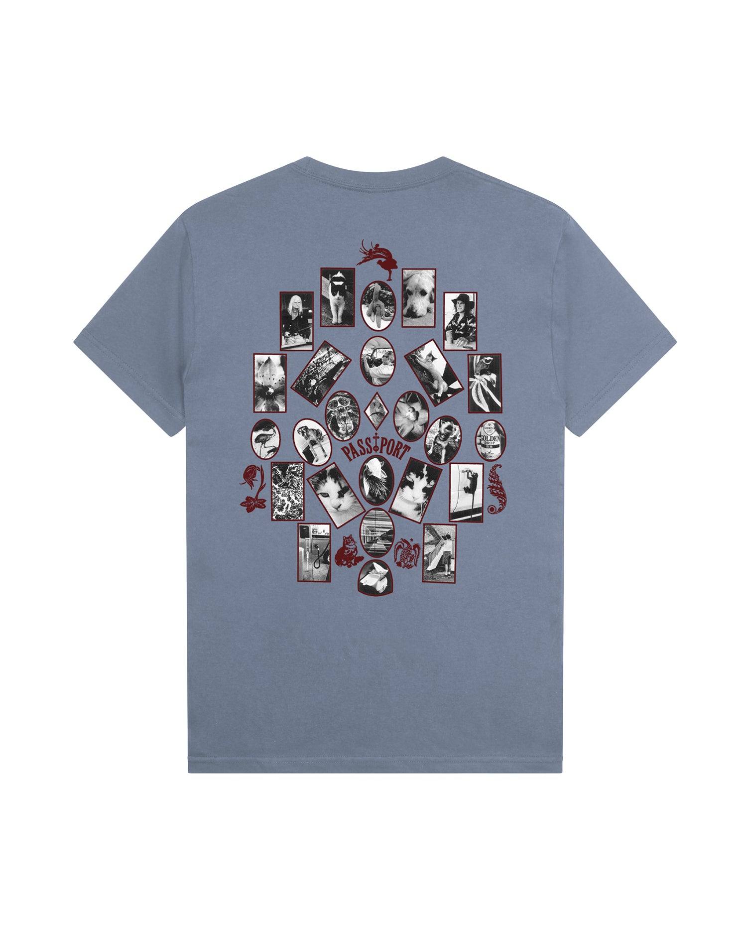 Pass~Port 'Sophomore' T-Shirt (Washed Out Blue)