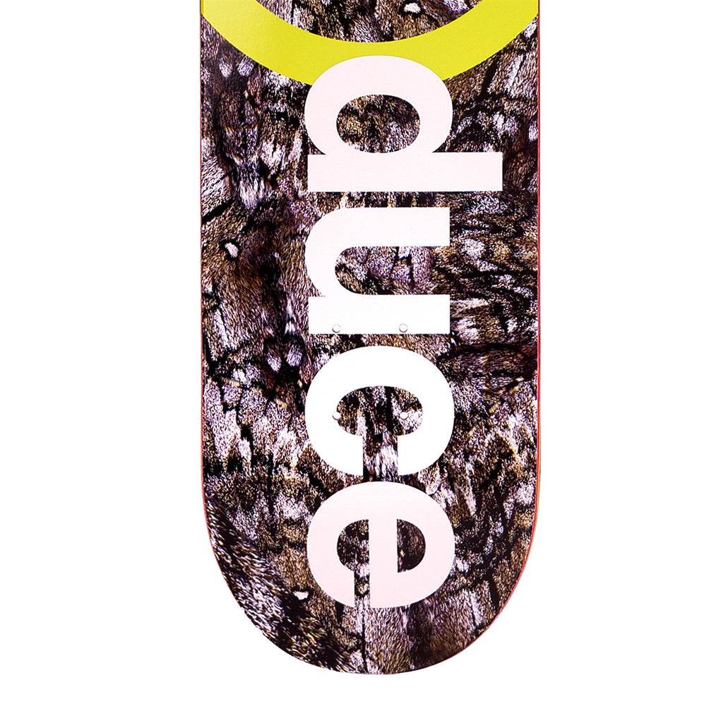 Preduce Skateboard 8.25 'OG Logo Moth' Deck
