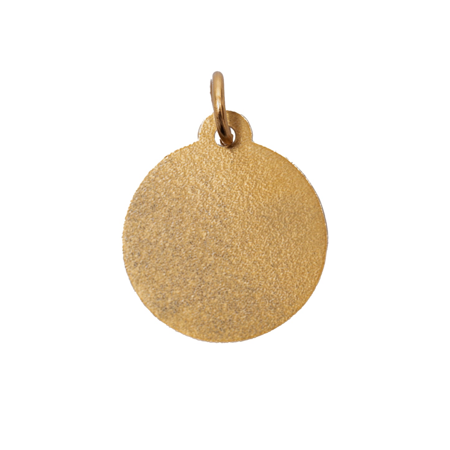 Pass~Port Hybrid Vigour Pet Tag