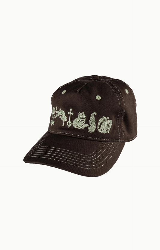 Pass~Port Sophomore Packers Cap ( Choc )